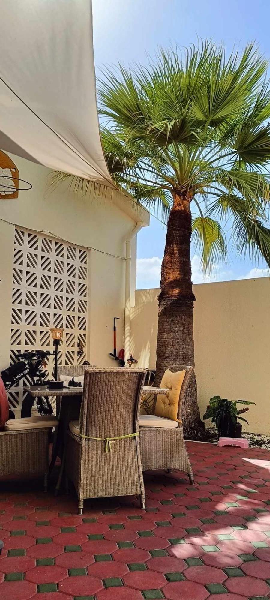 Jumeirah Beach Villa Dubaï Extérieur photo